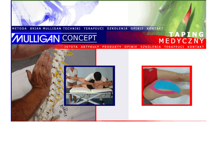 www.mulliganconcept.pl