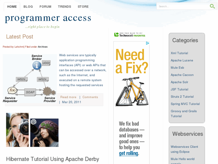 www.programmeraccess.com