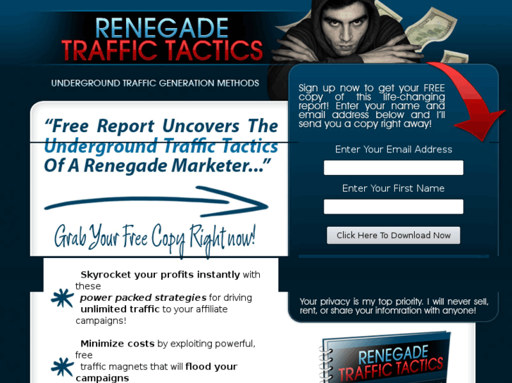 www.renegadetraffictactics.net