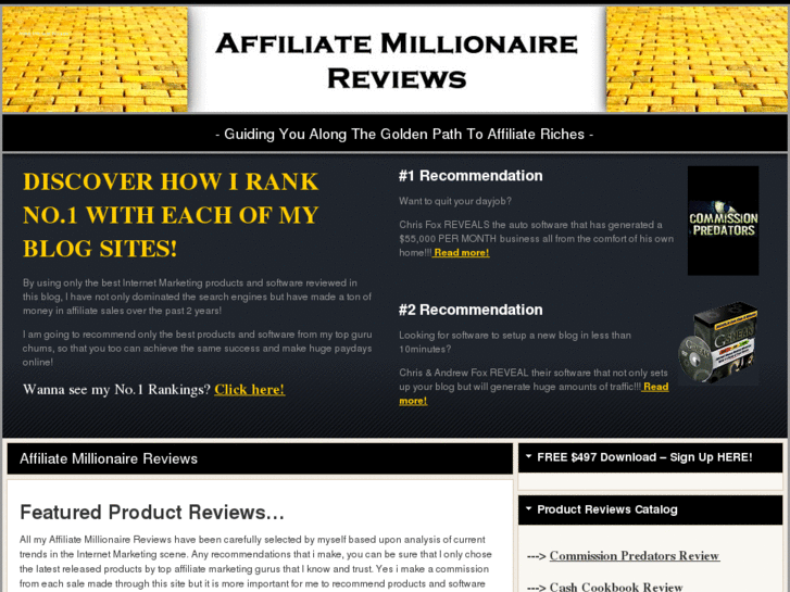 www.affiliatemillionairereview.com