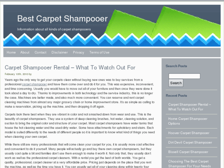 www.bestcarpetshampooer.com