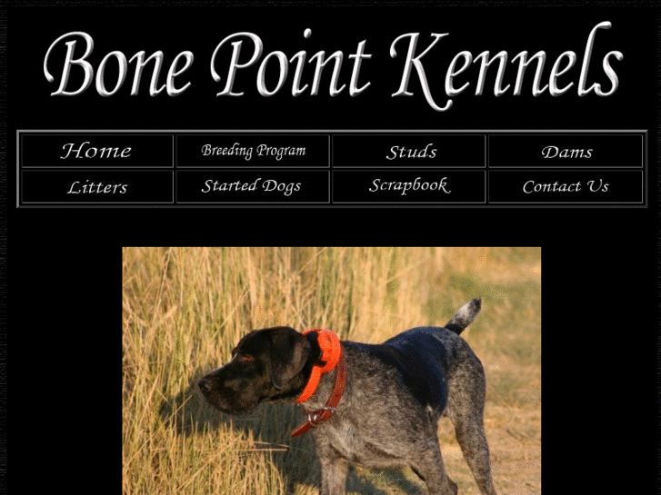 www.bonepointkennels.com