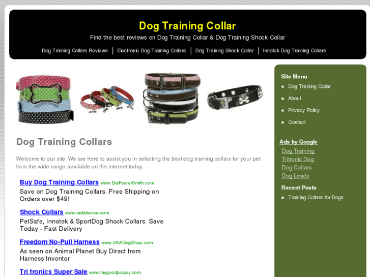 www.dogtrainingcollarreview.com