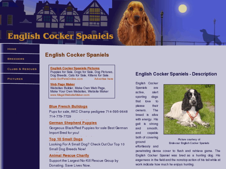 www.english-cocker-spaniel-dogs.com