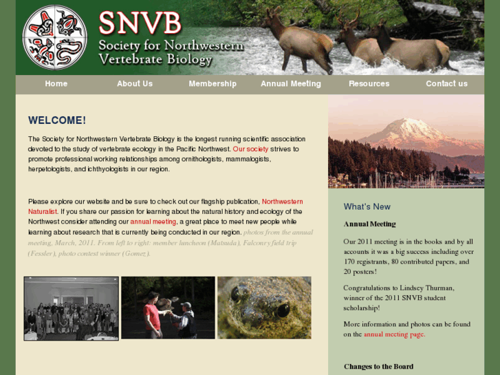 www.thesnvb.org