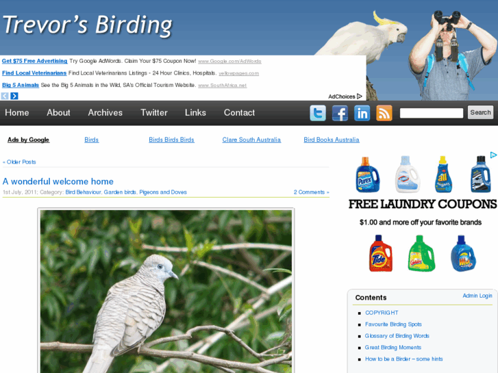 www.trevorsbirding.com