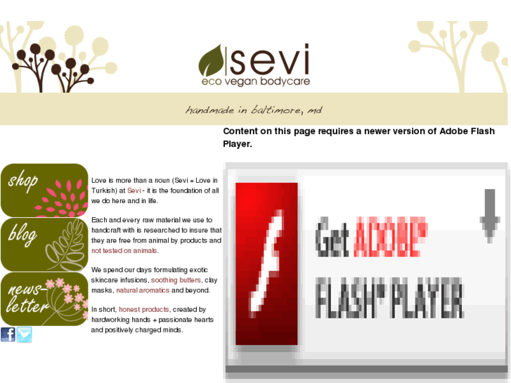 www.ecosevi.com