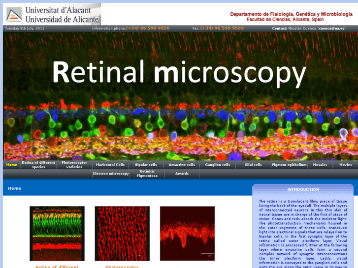 www.retinalmicroscopy.com