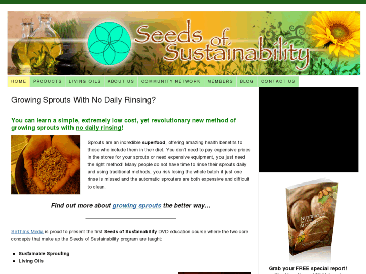 www.seedsofsustainability.org