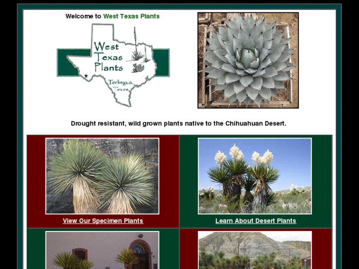 www.westtexasplants.com