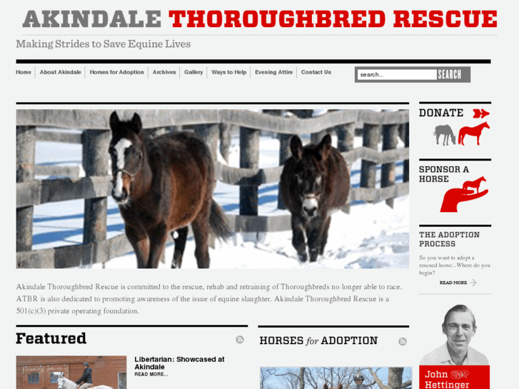 www.akindalehorserescue.org