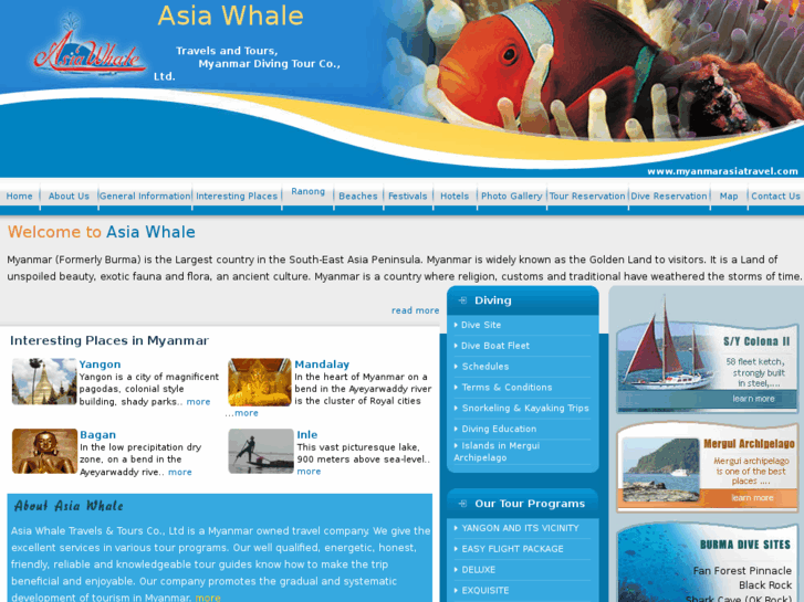 www.asiawhale.com