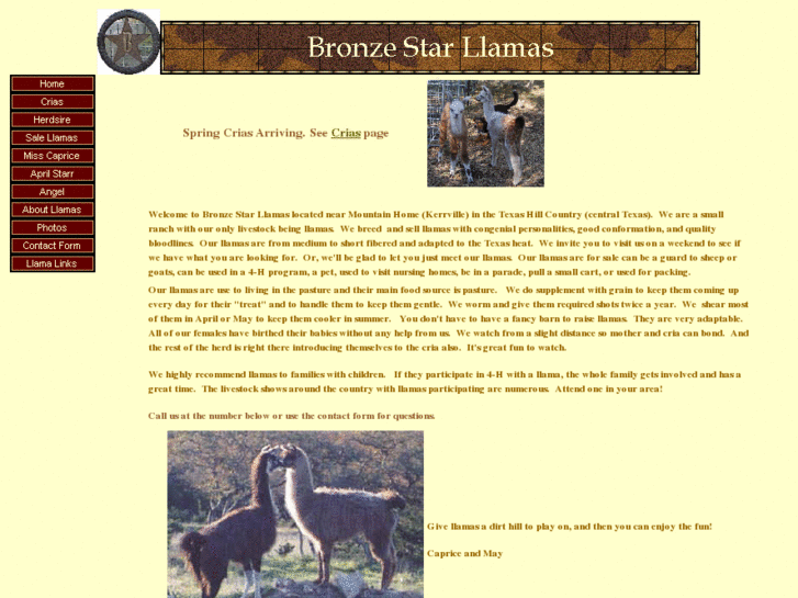 www.bronzestarllamas.com