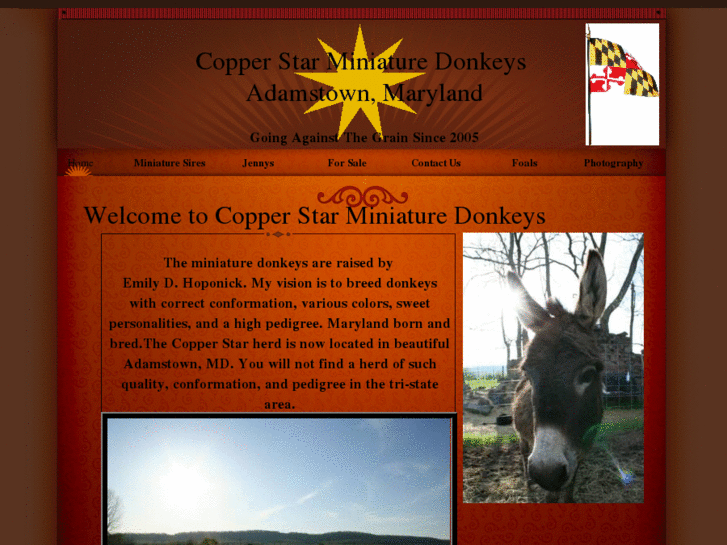 www.copperstarfarm.com