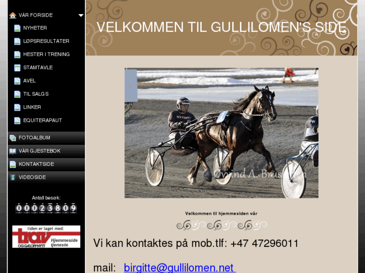 www.gullilomen.net