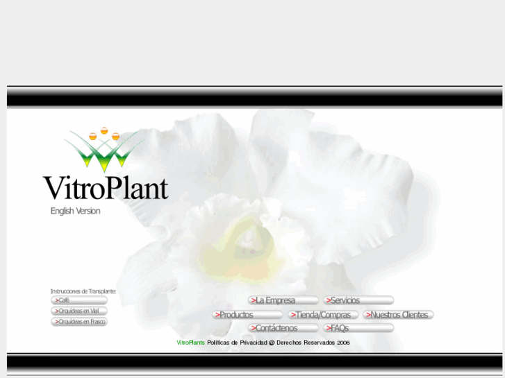 www.vitroplants.com