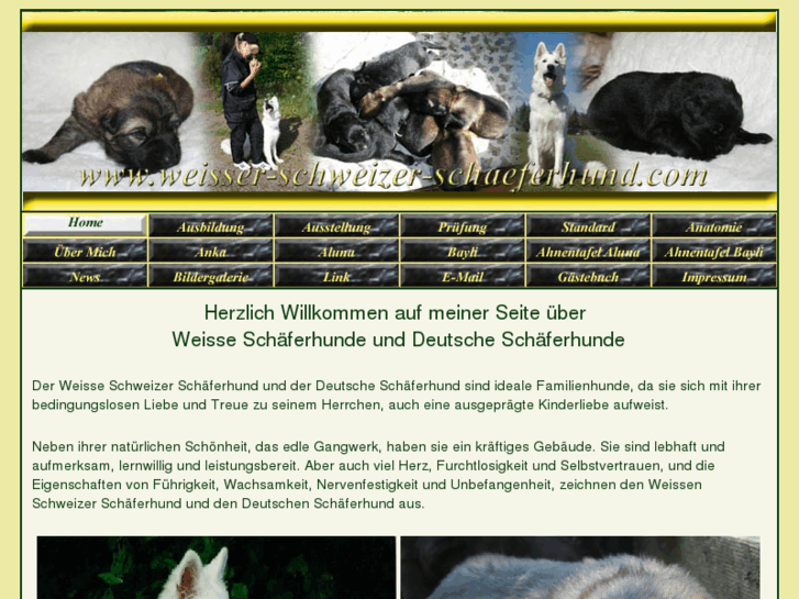 www.weisser-schweizer-schaeferhund.com