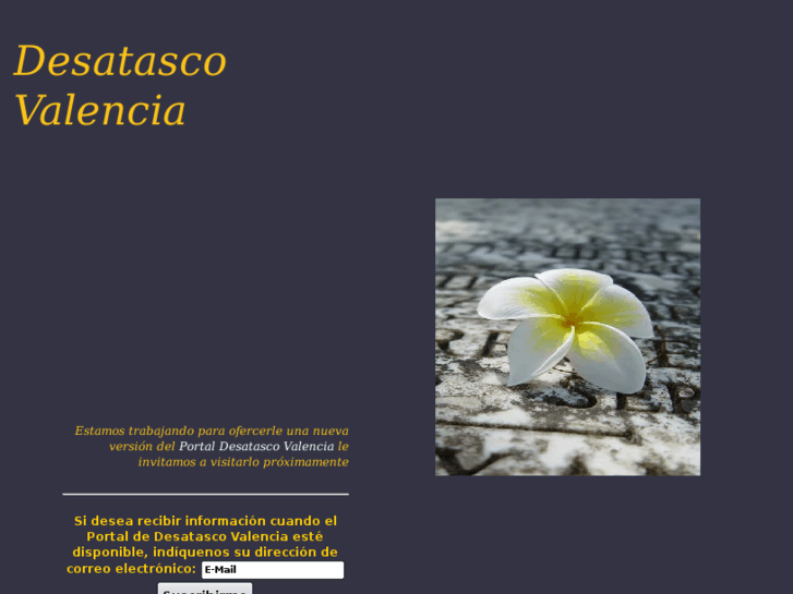 www.desatasco.org