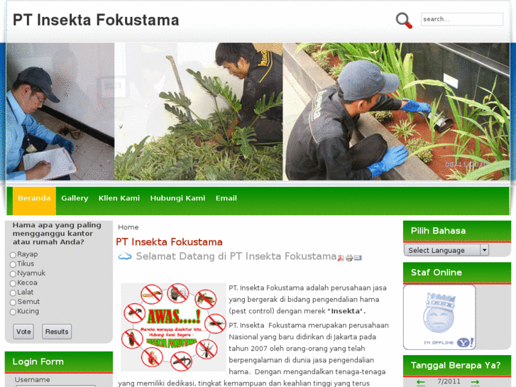 www.insektafokustama.com