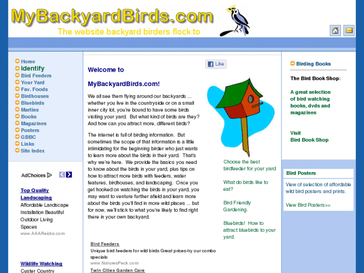 www.mybackyardbirds.com