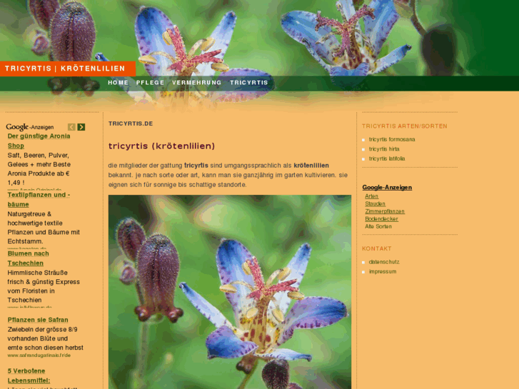 www.tricyrtis.de