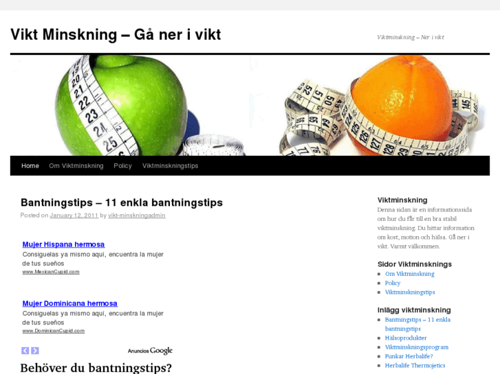 www.vikt-minskning.se