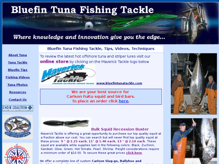 www.bluefintunafishingtackle.com