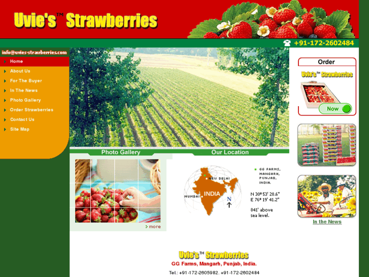 www.uvies-strawberries.com