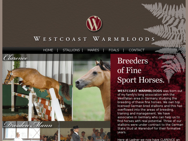 www.westcoastwarmbloods.com