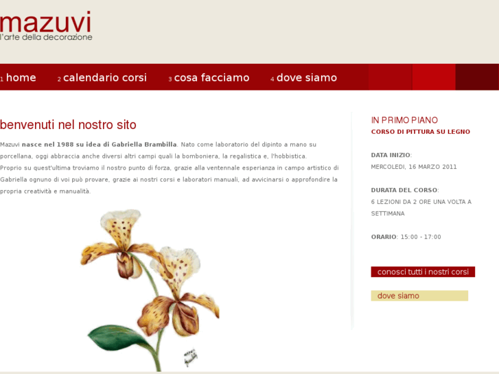 www.mazuvi.com