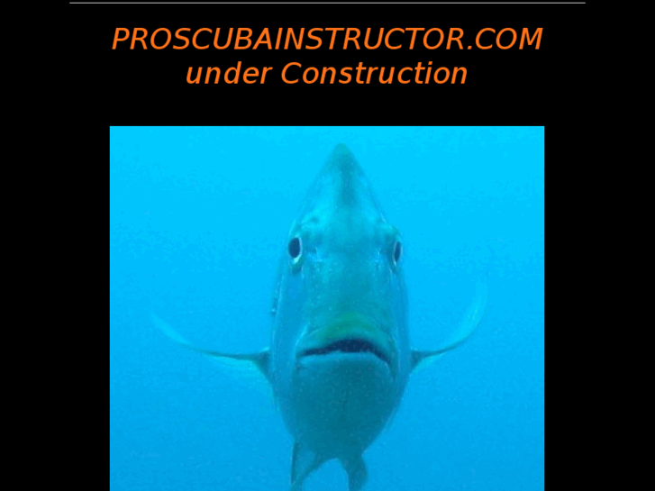 www.proscubainstructor.com