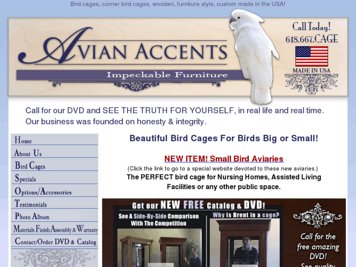 www.avianaccents.com