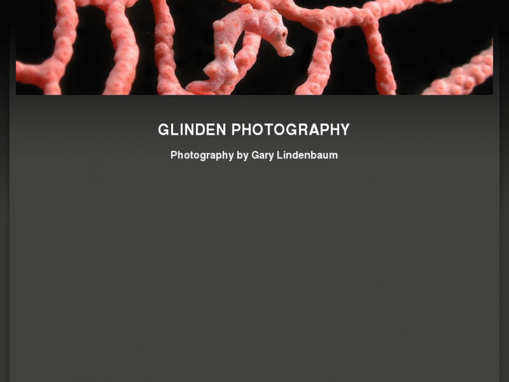 www.glindenphotography.com