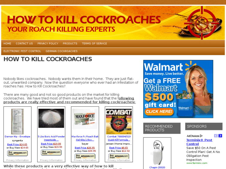 www.howtokillcockroaches.net