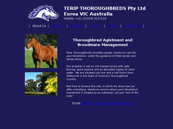 www.teripthoroughbreds.com