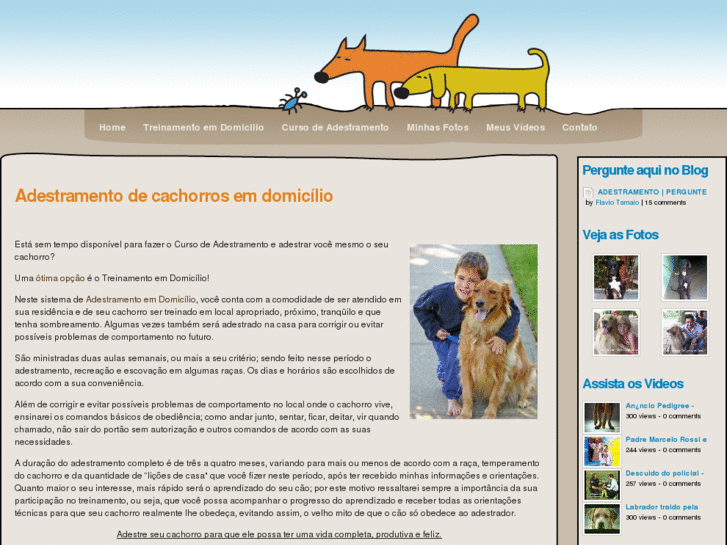 www.adestramentodecachorros.com