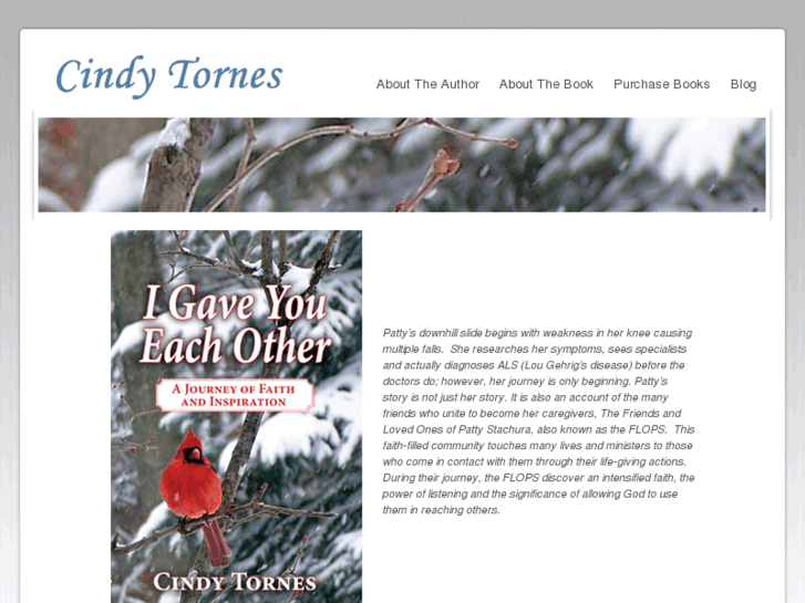 www.cindytornes.com