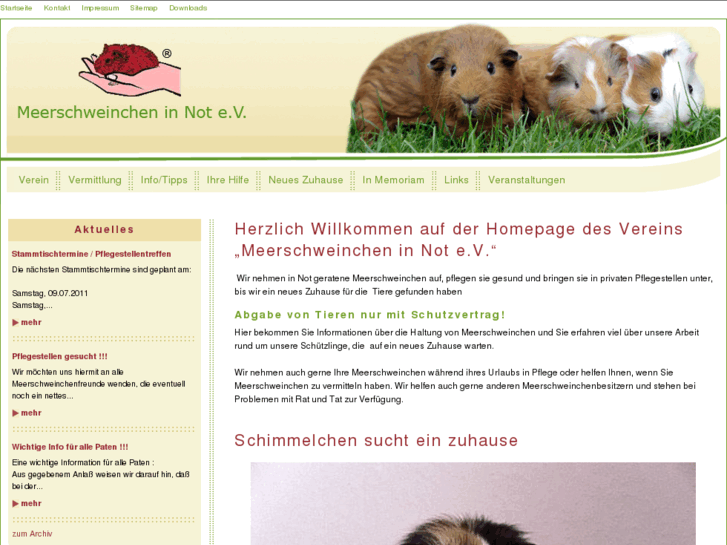 www.meerschweinchen-in-not.de