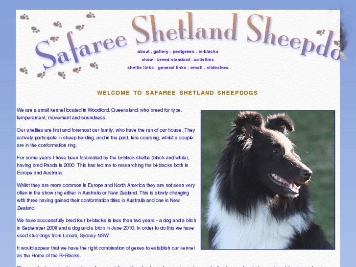 www.safareeshelties.com