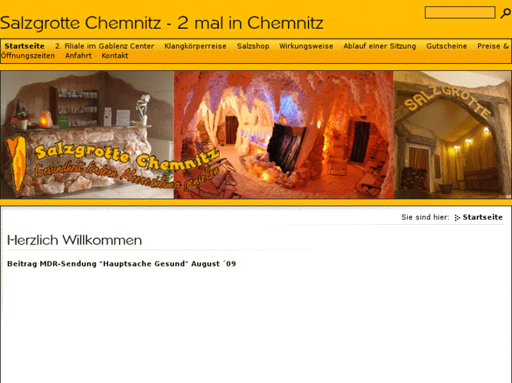 www.salzgrotte-chemnitz.de