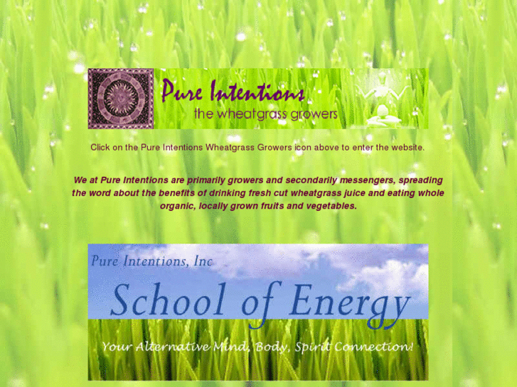 www.pureintentionsinc.com