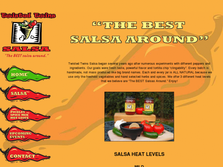 www.twistedtwinsalsa.com