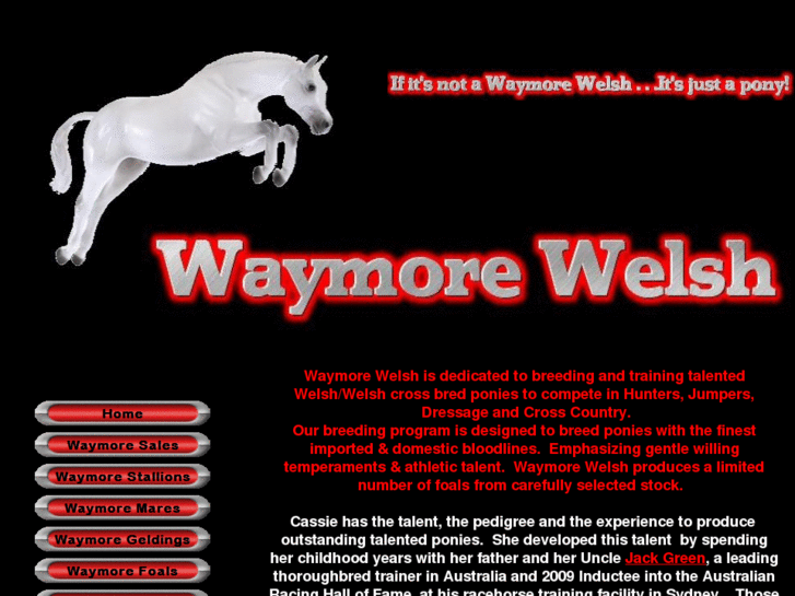 www.waymorewelsh.com