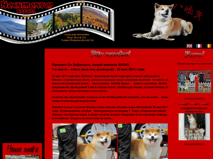 www.akita-hachimantai.com