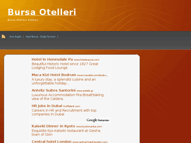 www.bursaotelleri.org