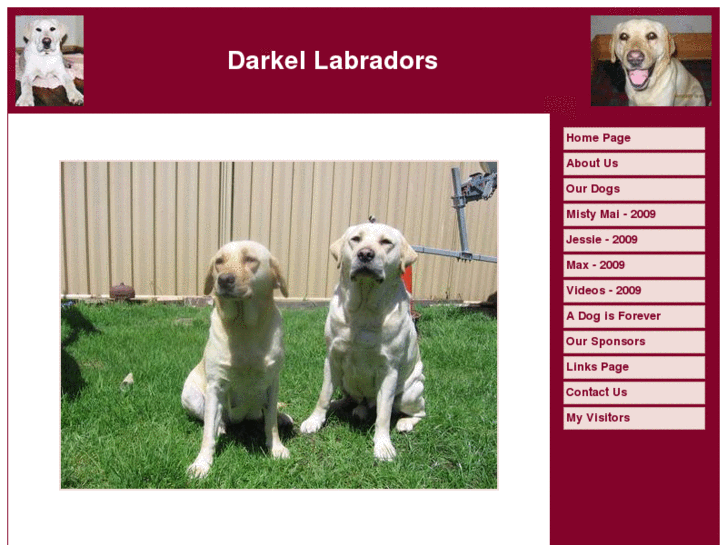 www.darkellabradors.com