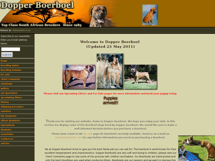 www.dopperboerboel.co.za