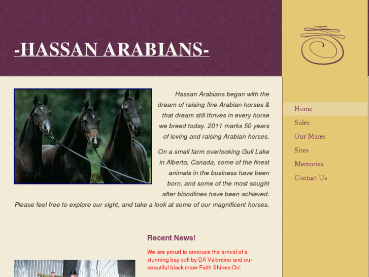 www.hassanarabians.net