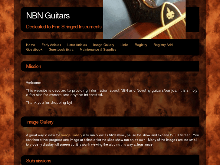 www.nbnguitars.com