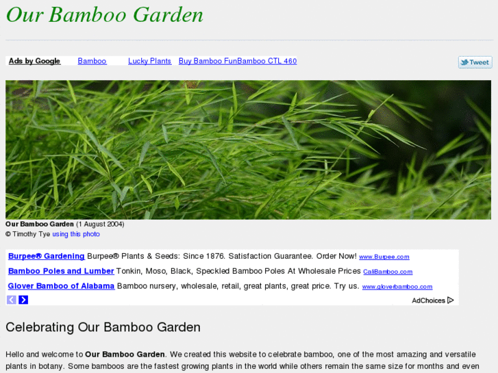 www.our-bamboo-garden.com